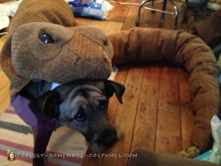 Dog Eaten by Rattlesnake Costume