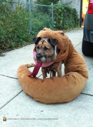 Dog Eaten by Rattlesnake Costume