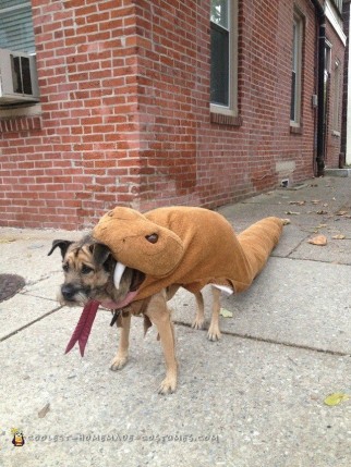 Dog Eaten by Rattlesnake Costume