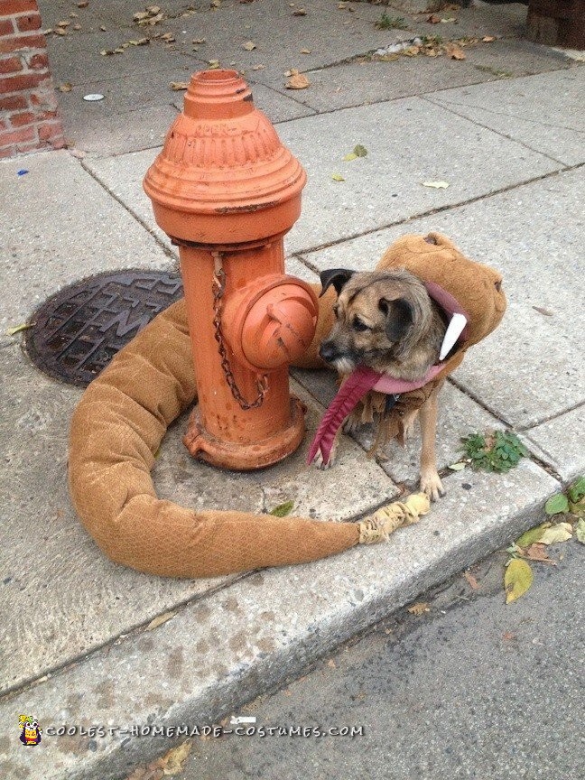 Dog Eaten by Rattlesnake Costume