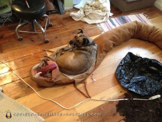 Dog Eaten by Rattlesnake Costume