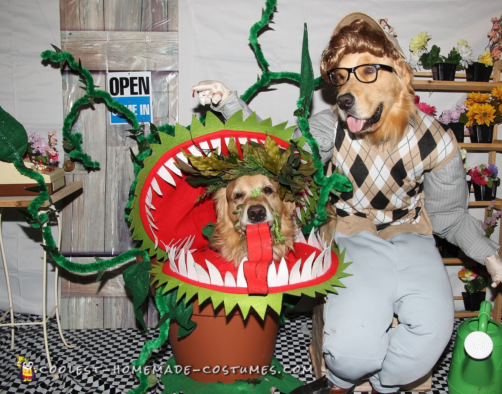 Coolest Little Shop of Horrors Dog Costumes