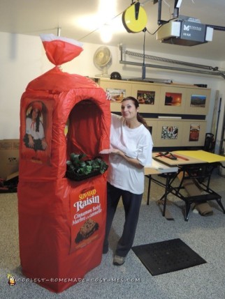 Coolest Sun Maid Bread Costume