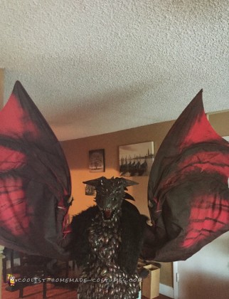 Drogon Targaryen Costume - Master of Dragons from Game of Thrones