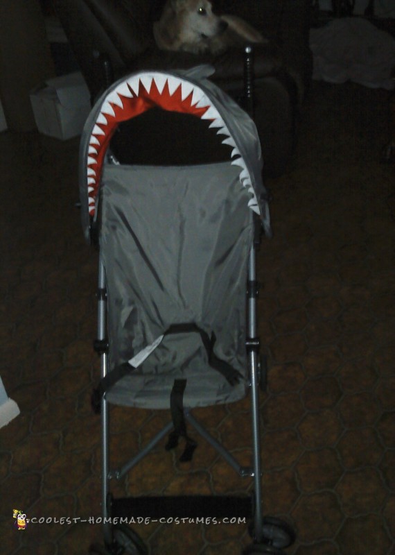 Avian's shark stroller