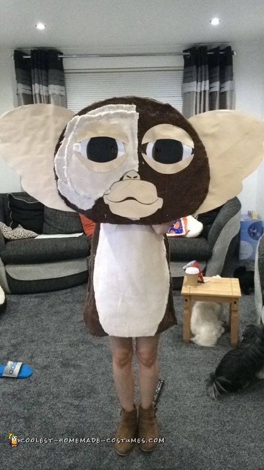 Easy to Make Gizmo Costume