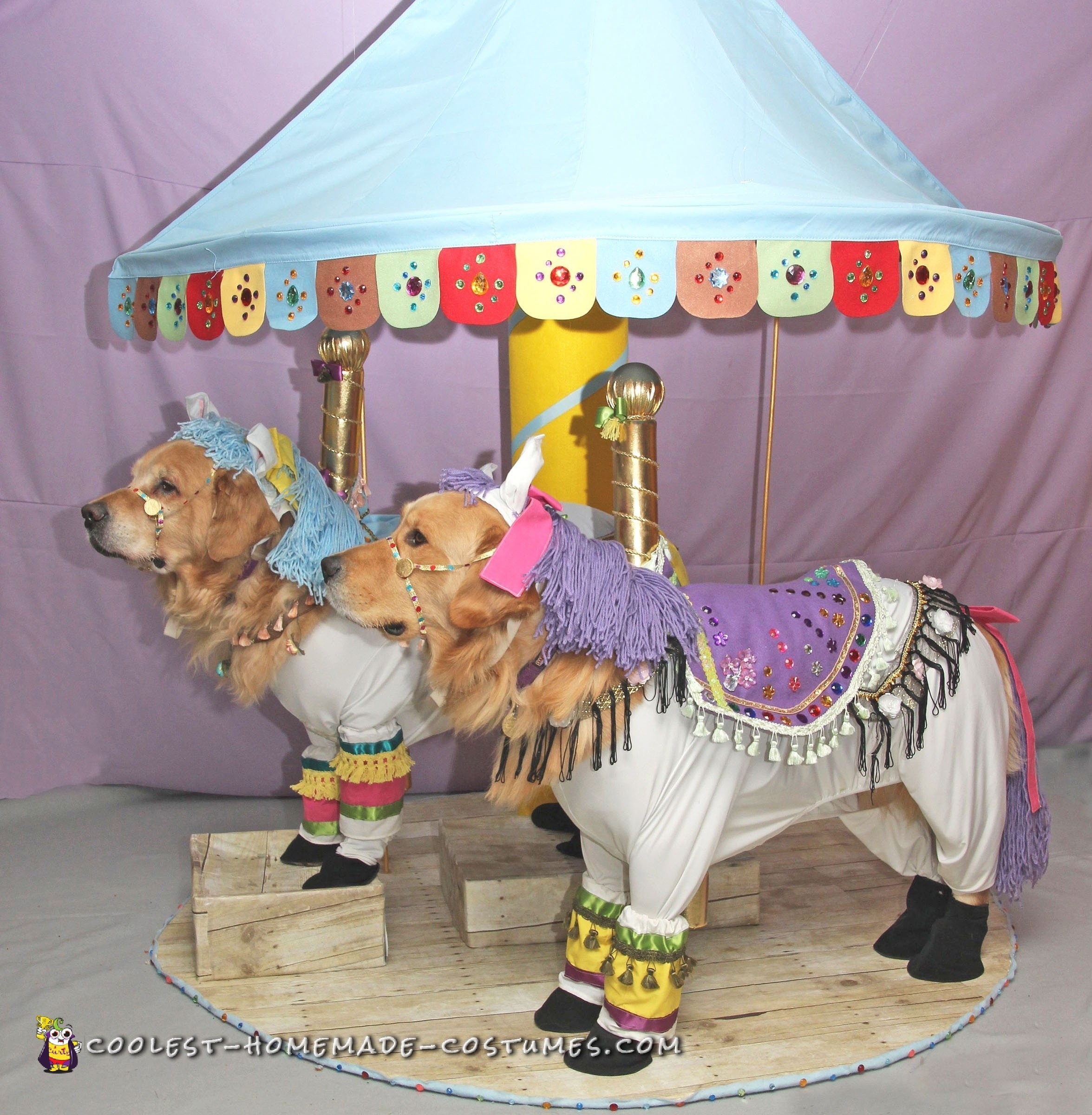 Fanciest Carousel Horse Costumes for Dogs