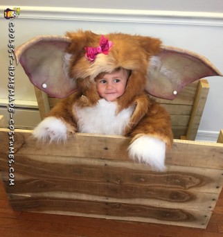 Girly Gizmo Costume for Toddler