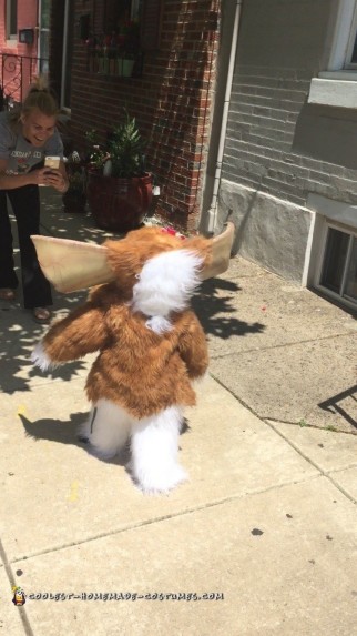 Girly Gizmo Costume for Toddler