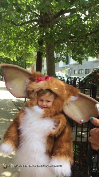 Girly Gizmo Costume for Toddler