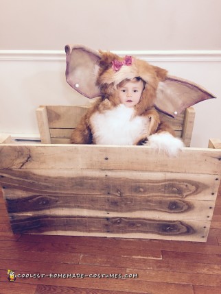 Girly Gizmo Costume for Toddler