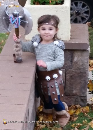 How to Train Your Dragon Family Costumes