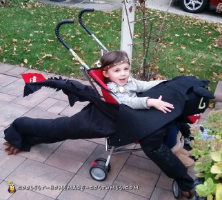 How to Train Your Dragon Family Costumes