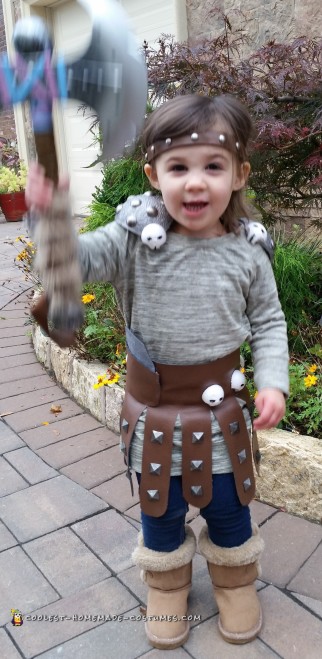 How to Train Your Dragon Family Costumes