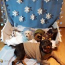 Let it Go Frozen Pet Costumes