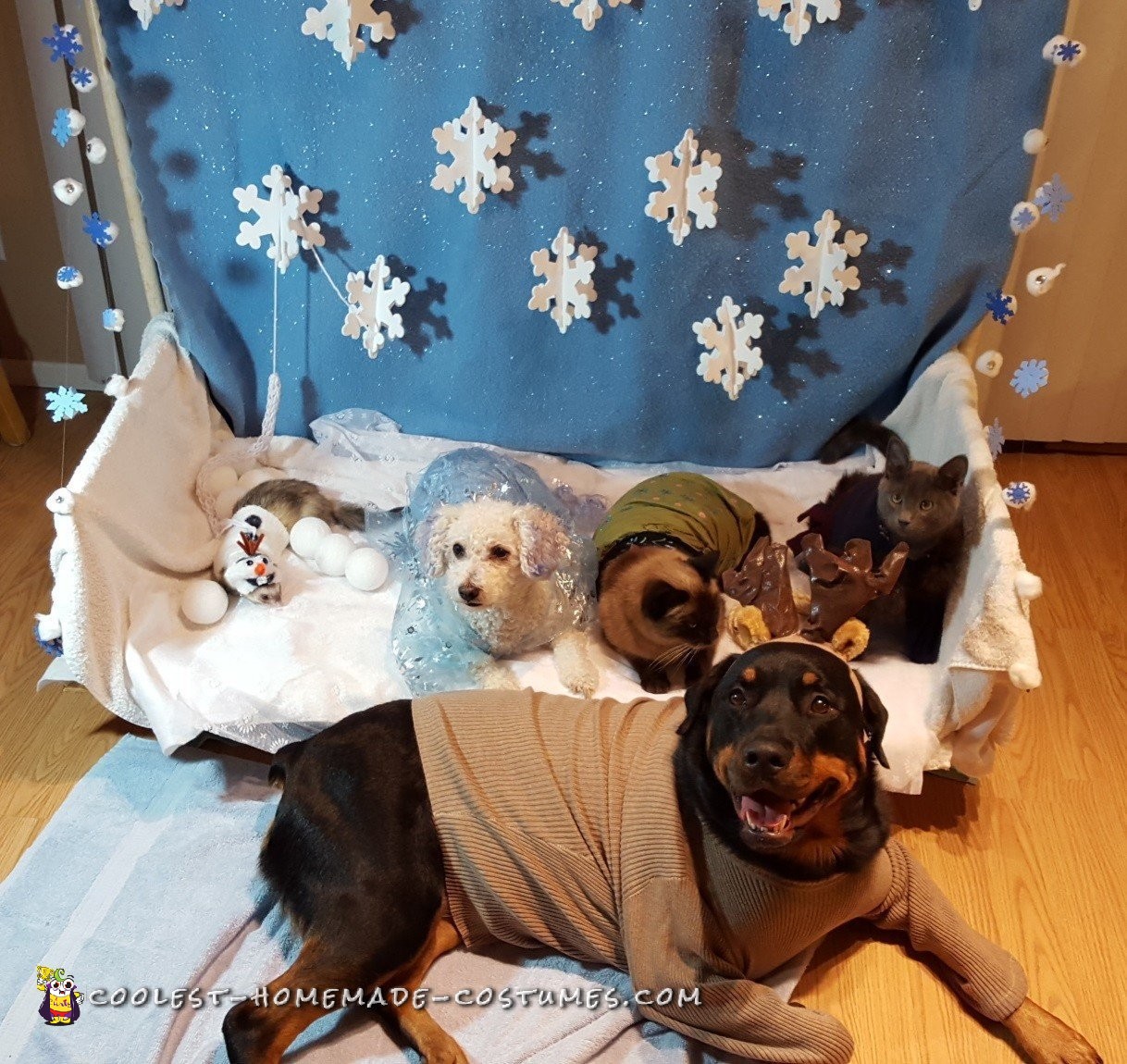 Let it Go Frozen Pet Costumes