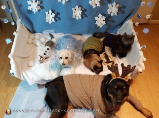 Let it Go Frozen Pet Costumes