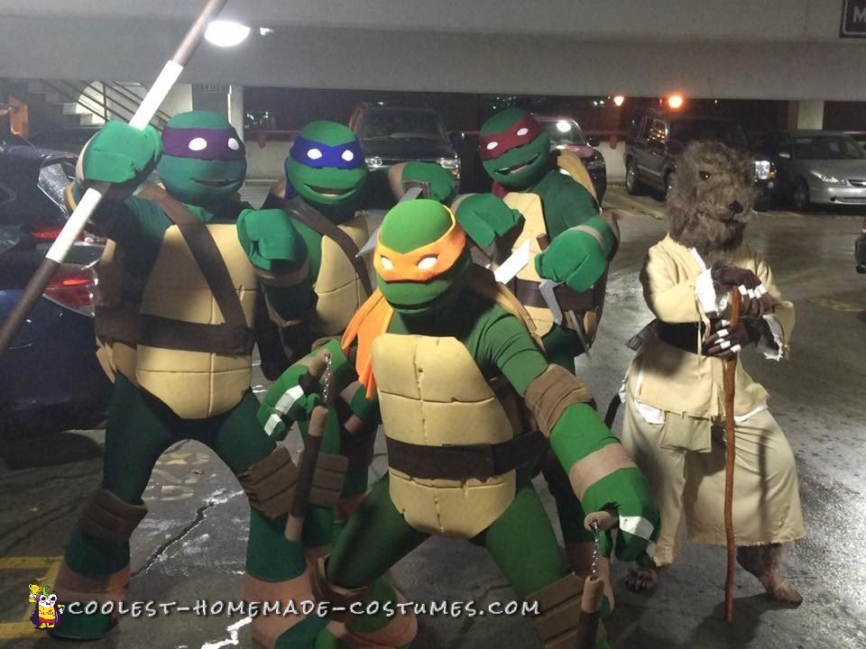 Coolest Ever Nickelodeon TMNT Group Costume