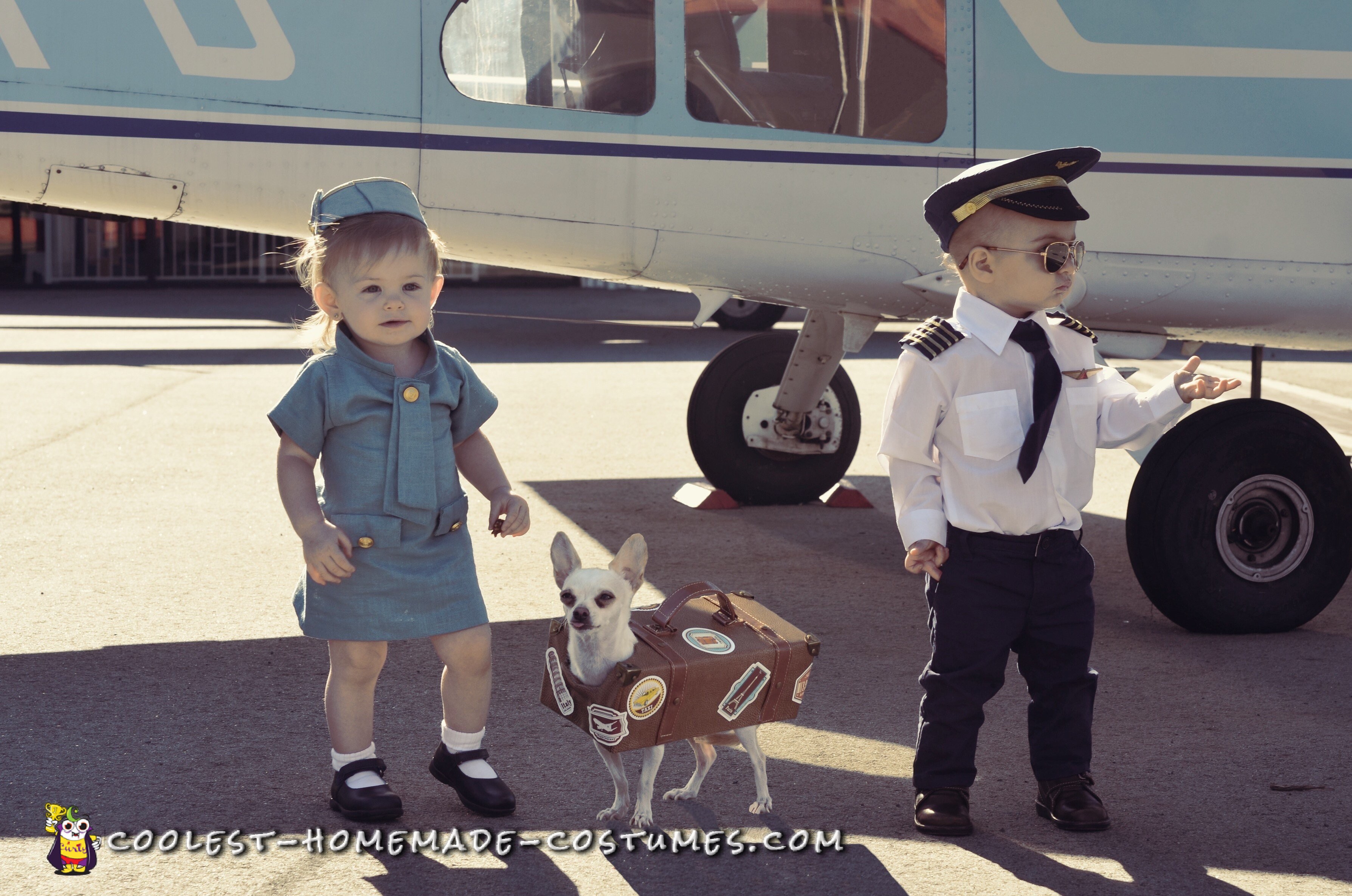 Pan Am Crew Toddler Costumes with Chihuahua