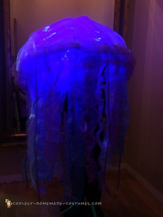 Scuba Diver Trapped by a Jellyfish Costume