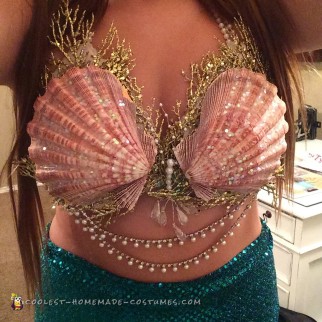 Pretty Sequin Mermaid Costume