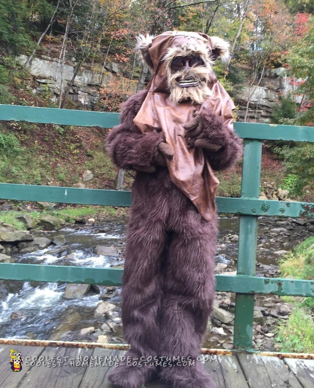 Homemade Star Wars Ewok Costume