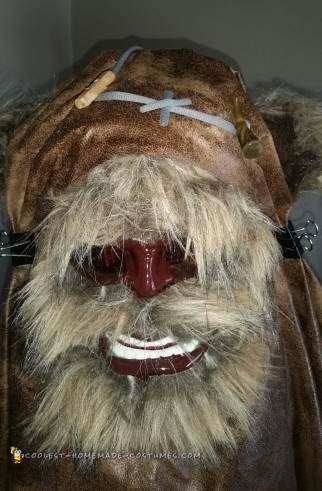 Homemade Star Wars Ewok Costume