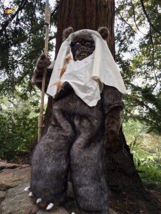 Star Wars Ewok Costume from Moon of Endor