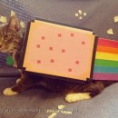 Super Simple Cat Costume - Nyan Cat!