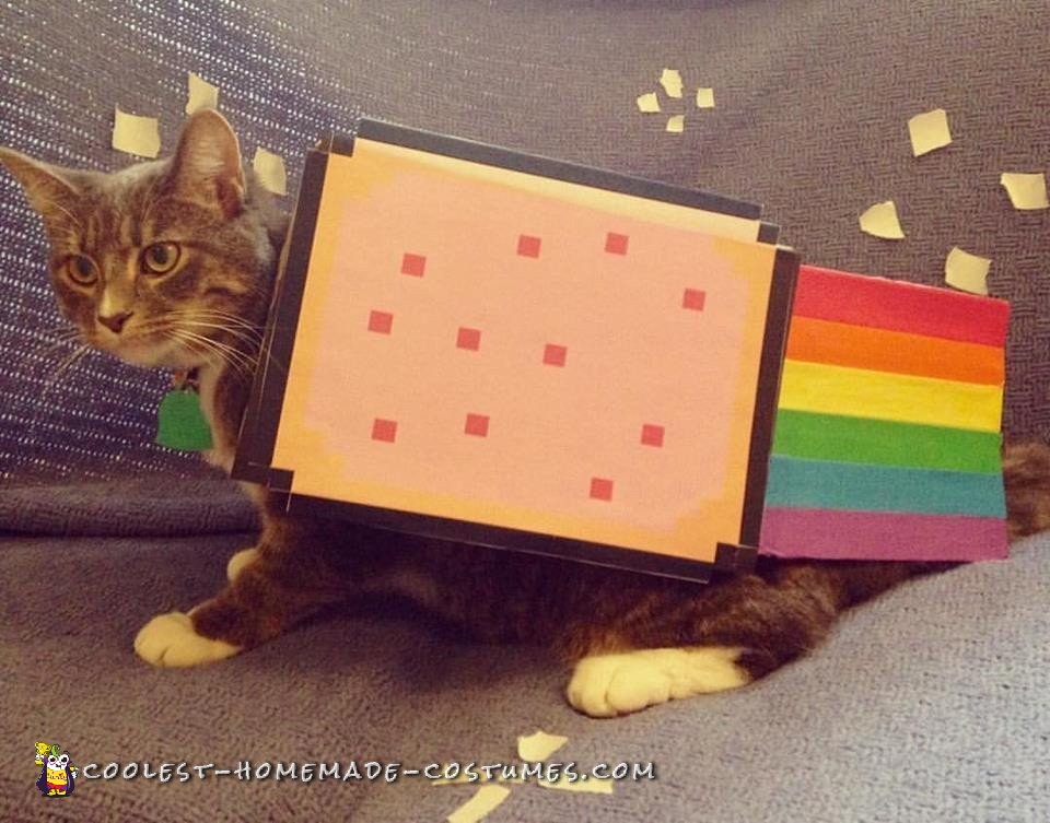 Super Simple Cat Costume - Nyan Cat!