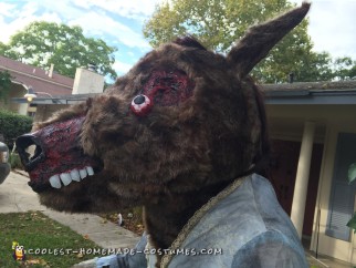 Urban Legend Comes to Life: Creepy Donkey Lady Costume