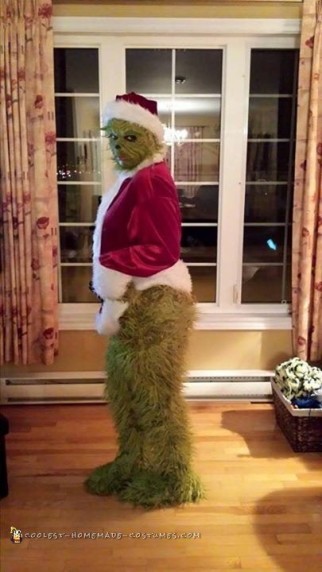 The Grinch Costume with Laytex Mask and Makeup