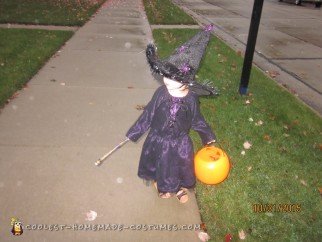 Toddler's Deluxe Handmade Spider Witch Costume