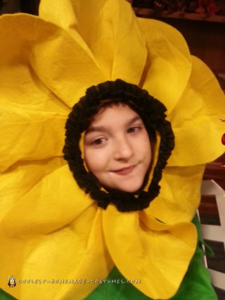 Wheelchair Flower Garden Costume