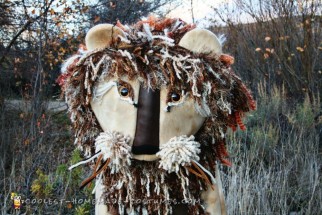 Autumn Yarn Homemade Lion Costume
