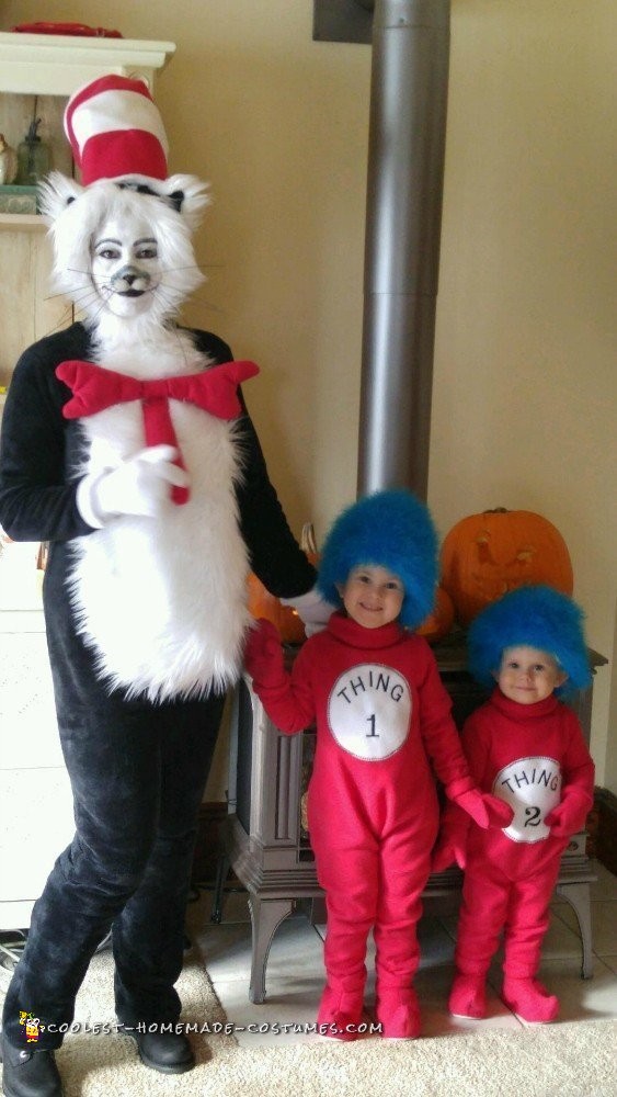 cat in the hat costume diy