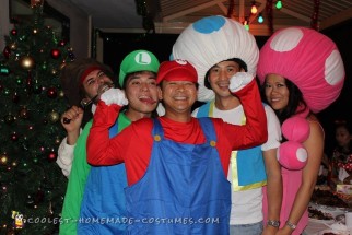 Awesome and Easy Toad and Toadette Costume