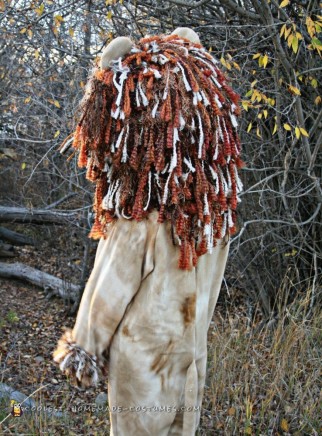 Autumn Yarn Homemade Lion Costume