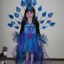 Pretty Homemade Peacock Costume