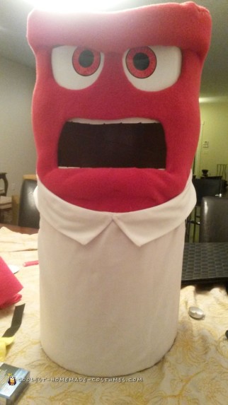 Coolest Inside Out Character Costume - Anger