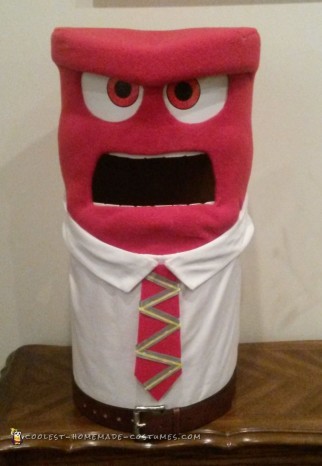 Coolest Inside Out Character Costume - Anger