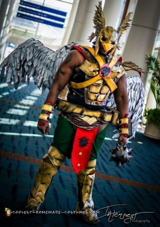 hawkman costume