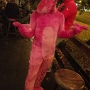 pink panther costume