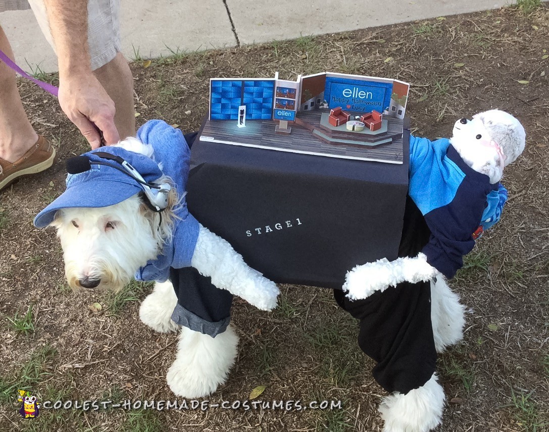 Ellen Show Stage Dog Costume