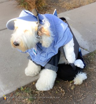 Ellen Show Stage Dog Costume