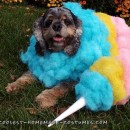 homemade halloween dog costume