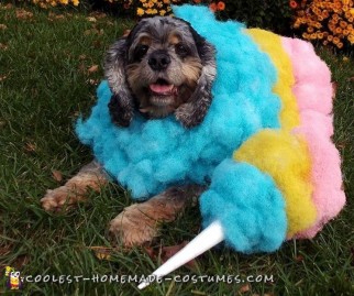 homemade halloween dog costume