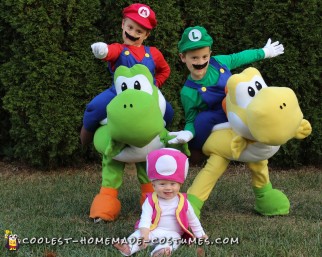 mario family costume