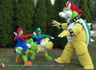 mario family costume