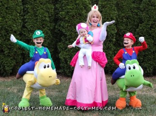 mario family costume